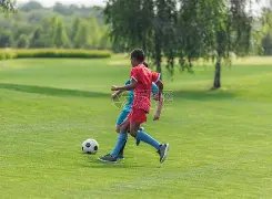 德网球协会,宣布,温布尔登赛,BG娱乐官网,BG百家乐,BG真人视讯平台,BG电子游戏,BG体育电竞,BG棋牌彩票