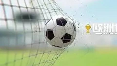 沪队男篮扩军备战，目标冲刺八强