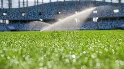 周冬雨公众号配图争议案和解，赔偿金额降至12万元