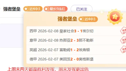 中国红熊猫演绎极限杂技，历经波折终获成功！